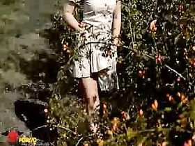 Развлечения в поле